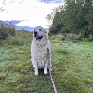 Meet your Posher, Leanne